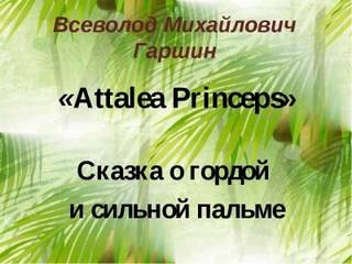   - Attalea princeps