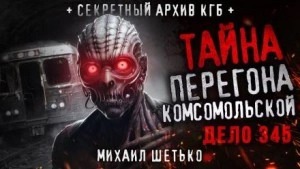 Шетько Михаил - Дело №345. Перегон
