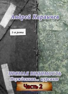 Караичев Андрей - Прямая видимость 02