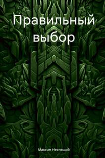 Неспящий Максим - Правильный выбор