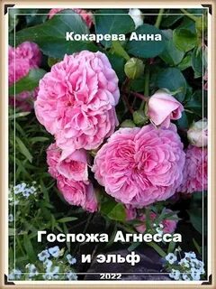 Кокарева Анна - Госпожа Агнесса и эльф