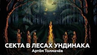 Толмачев Артем - Секта в лесах Ундинака