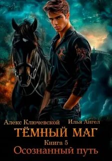 Ключевской Алекс, Ангел Илья - Тёмный маг 05. Осознанный путь