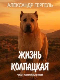 Гергель Александр - Жизнь колпацкая