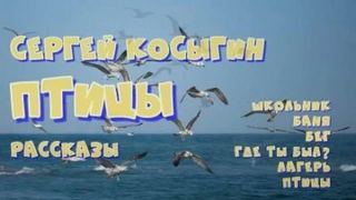 Косыгин Сергей - Сборник рассказов
