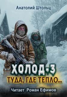Штольц Анатолий - Холод 03. Туда, где тепло...