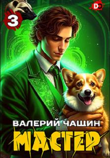 Чащин Валерий - Мастер 03. Мастер 3
