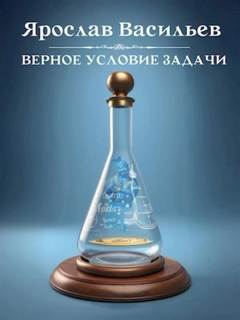 Васильев Ярослав - Верное условие задачи