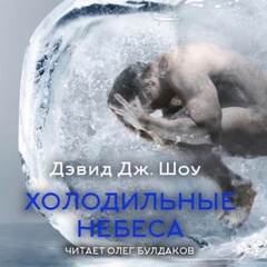 Шоу Дэвид - Холодильные небеса